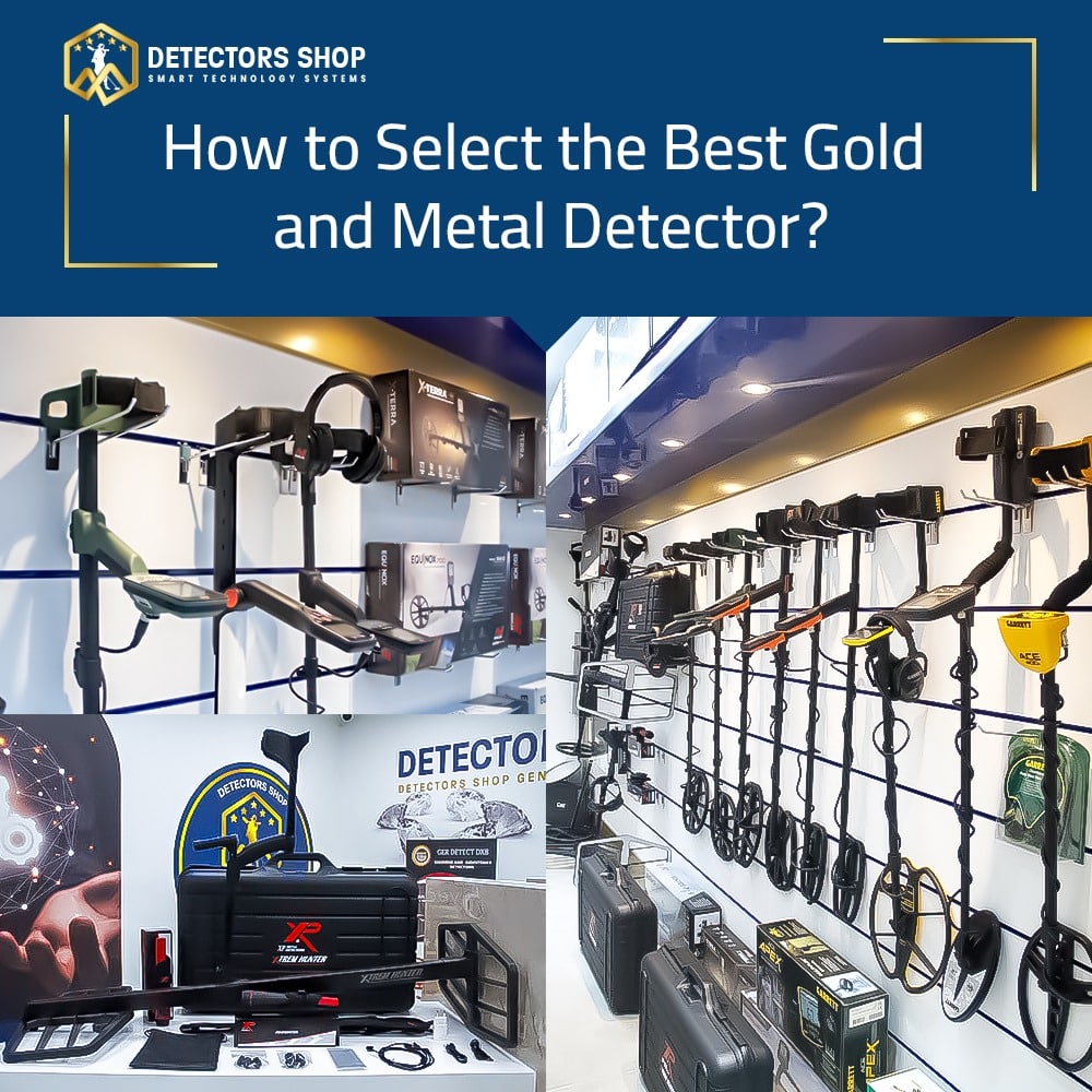Gold and metal detector