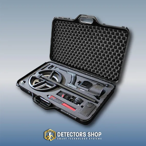 صورة المقدمة