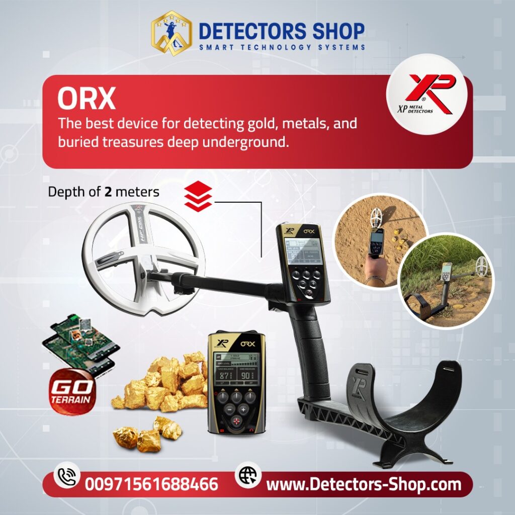 Metal Detector