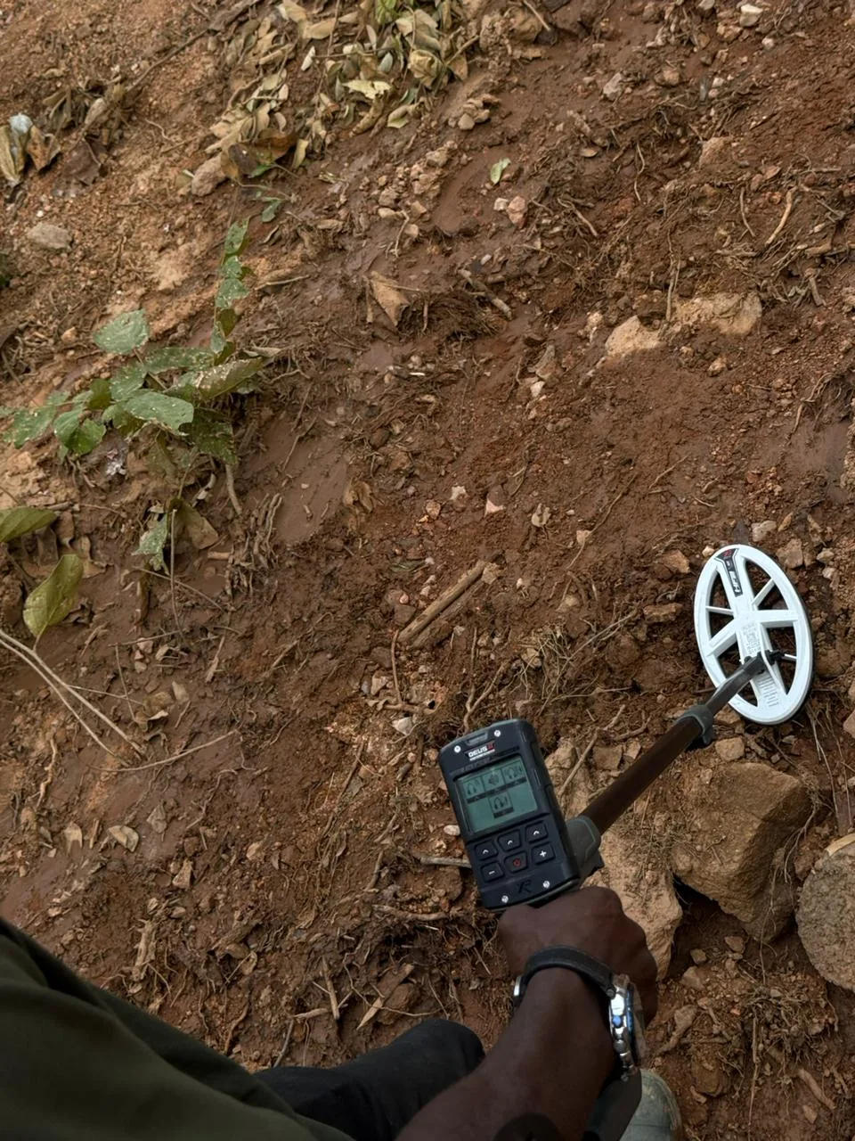 XP DEUS II HF2 detector control screen during natural gold field testing