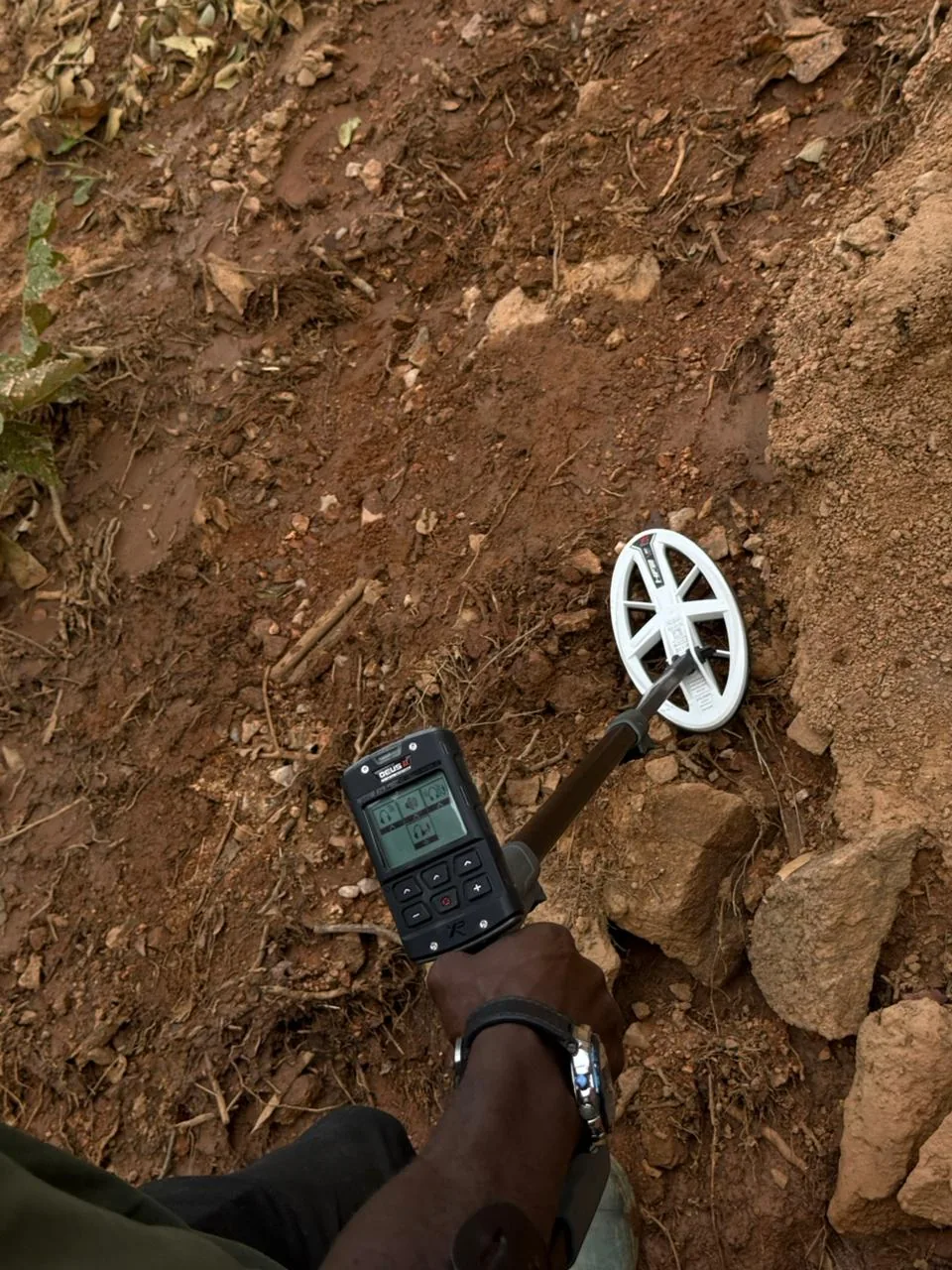 XP DEUS Gold HF2 detector in real natural gold prospecting over mineralized rocky soil